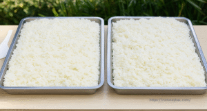 Làm nguội xôi nếp trong cách ủ rượu nếp men lá